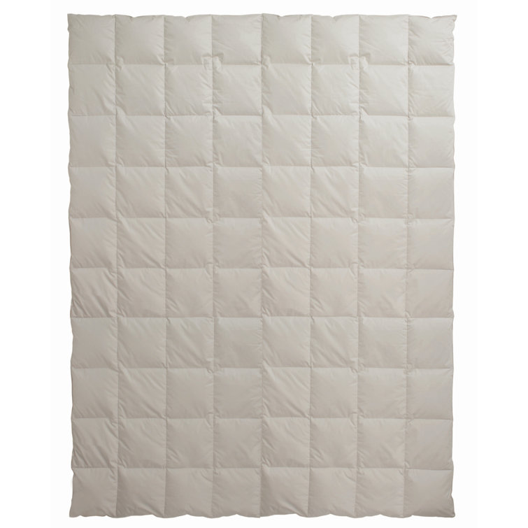 CentaStar extra Duck Down Duvet & Reviews Wayfair.co.uk